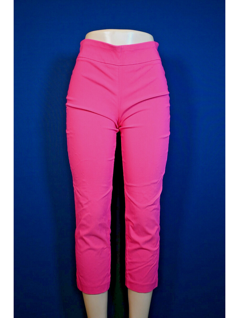 ATTYRE Petite Womens Hot Pink Pull-On Stretch Ankle Pants Size 10p